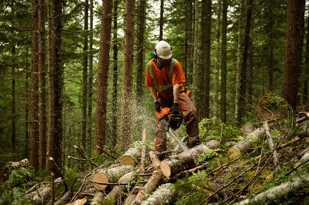 Premium Wood Products